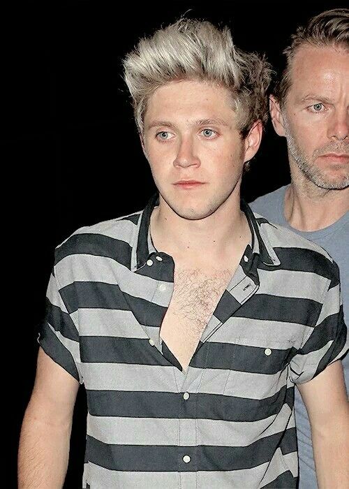 Niall Horan Ripped Torso And Bare Chested Naked Male Celebrities