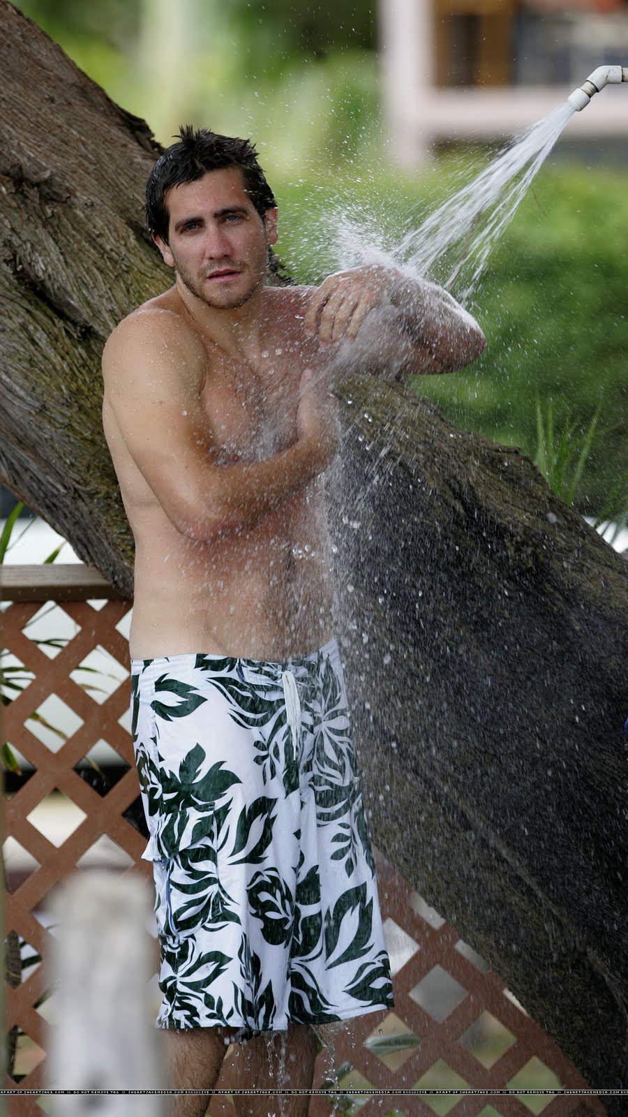 Jake Gyllenhaal Wet In The Pool Scans Naked Male Celebrities