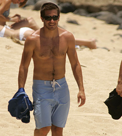 Jake Gyllenhaal Shirtless On Tv Naked Male Celebrities