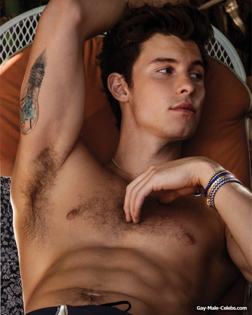 Shawn Mendes nude photos
