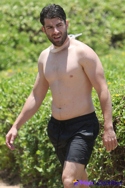 Max Greenfield shirtless