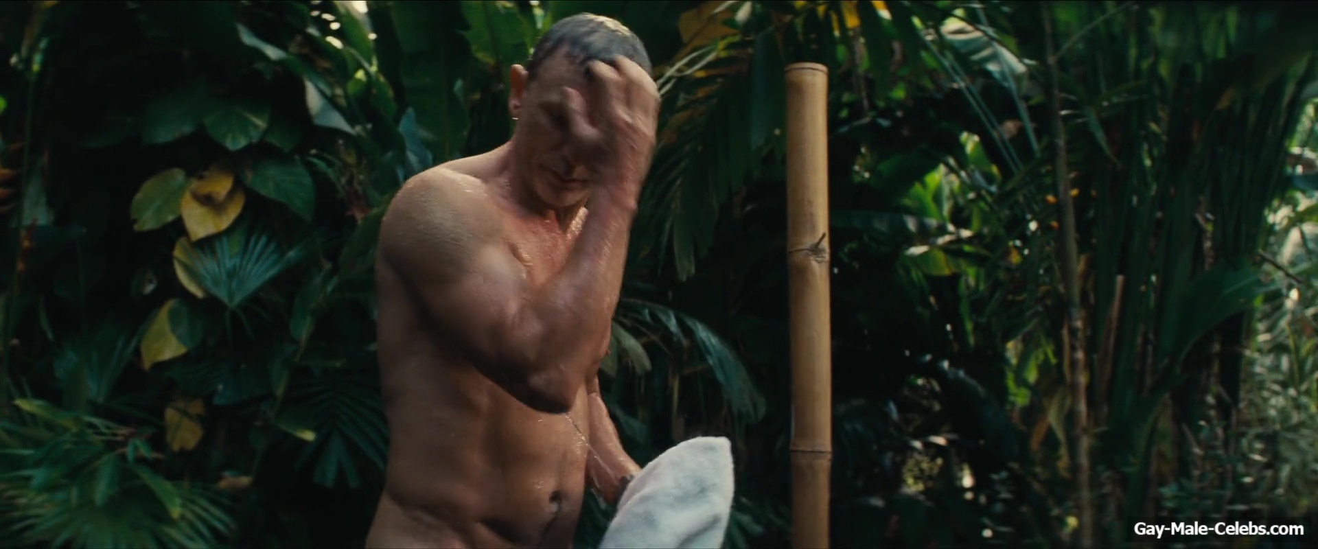 Daniel Craig frontal nude