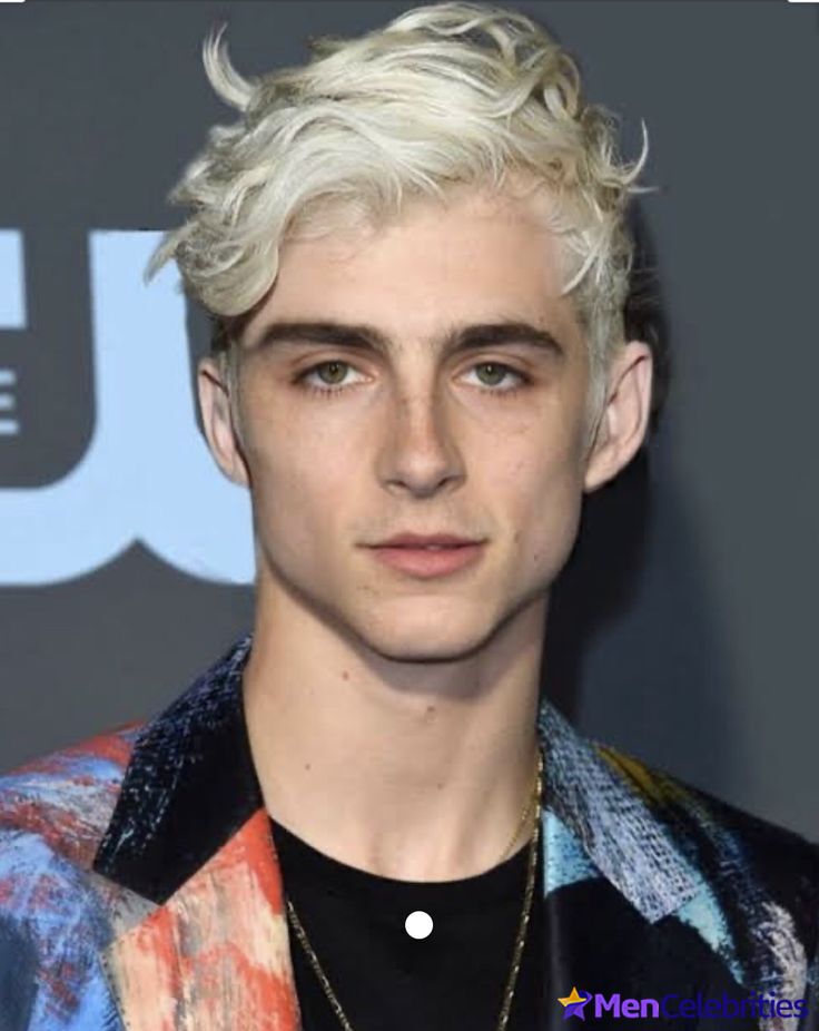 Timothe Chalamet sexy