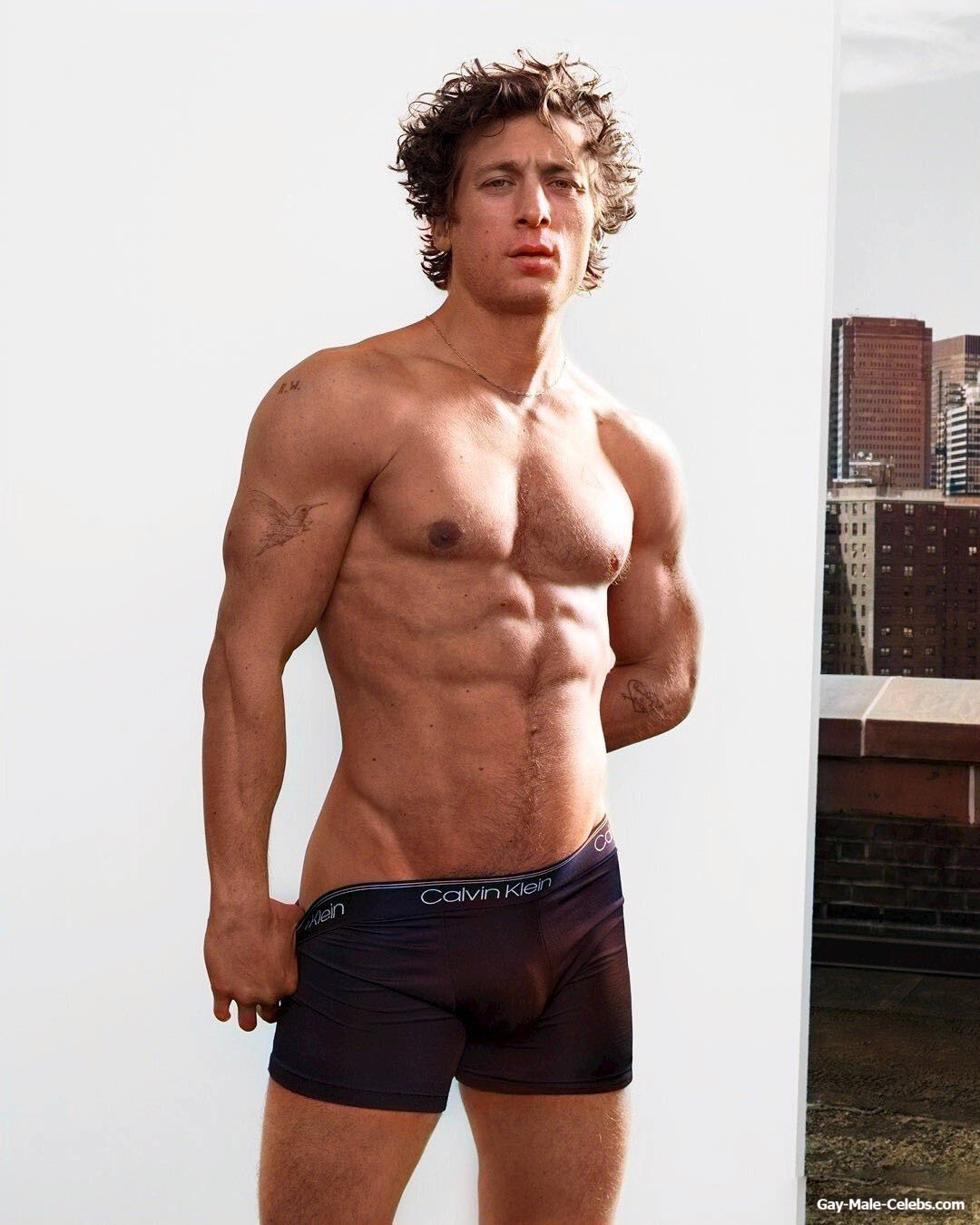 Jeremy Allen White underwear cock