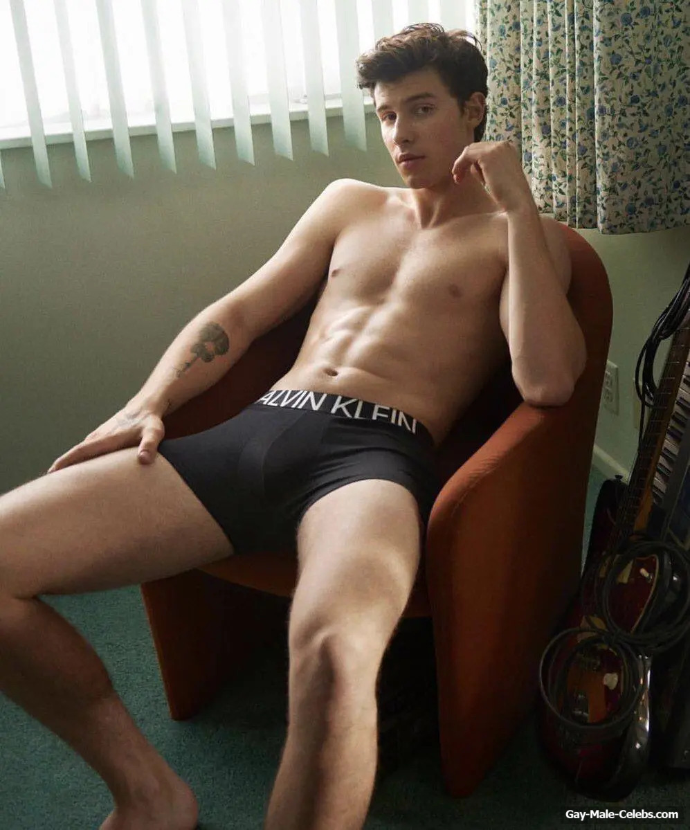 Shawn Mendes underwear