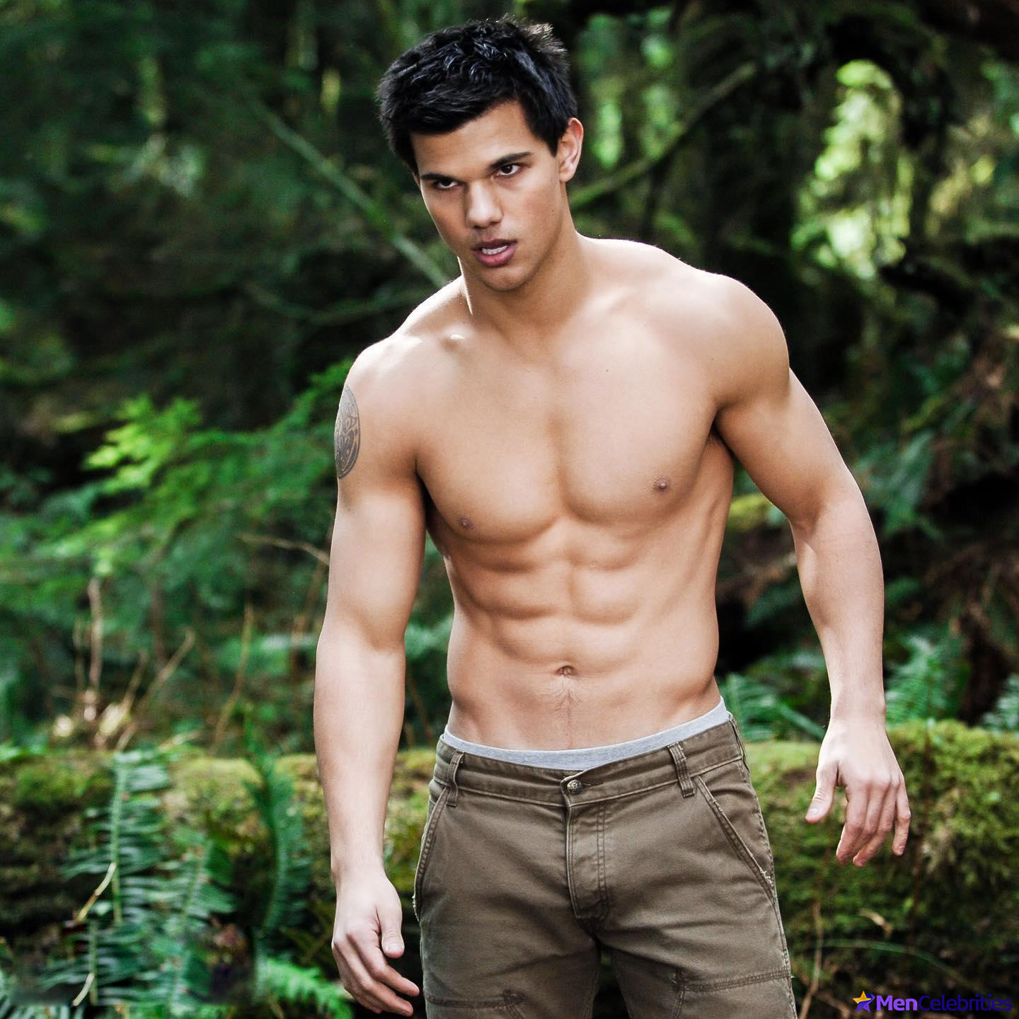 Taylor Lautner nudes