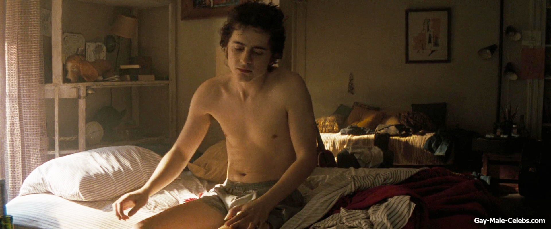 Timothe Chalamet nude