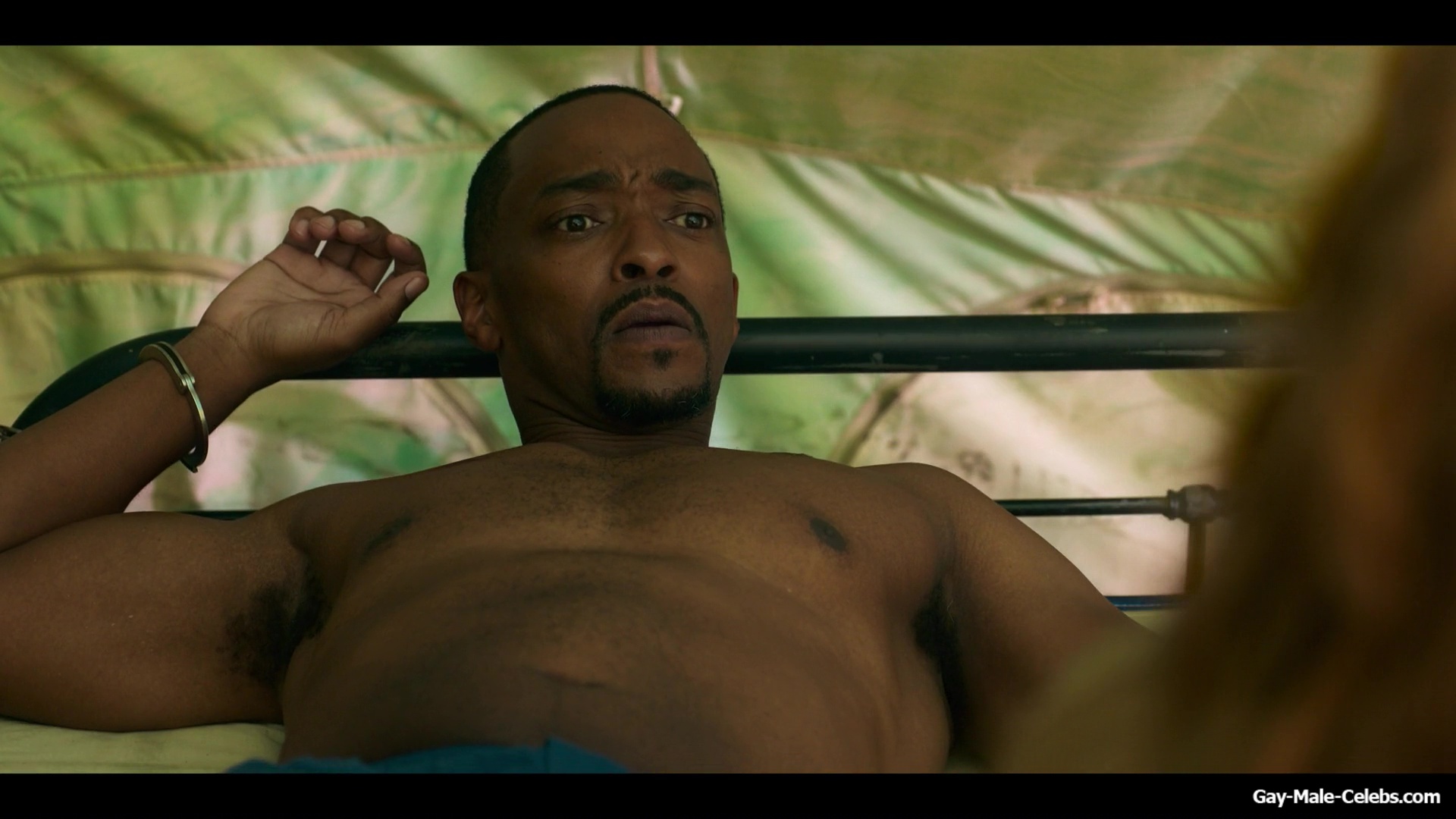 Anthony Mackie exposed