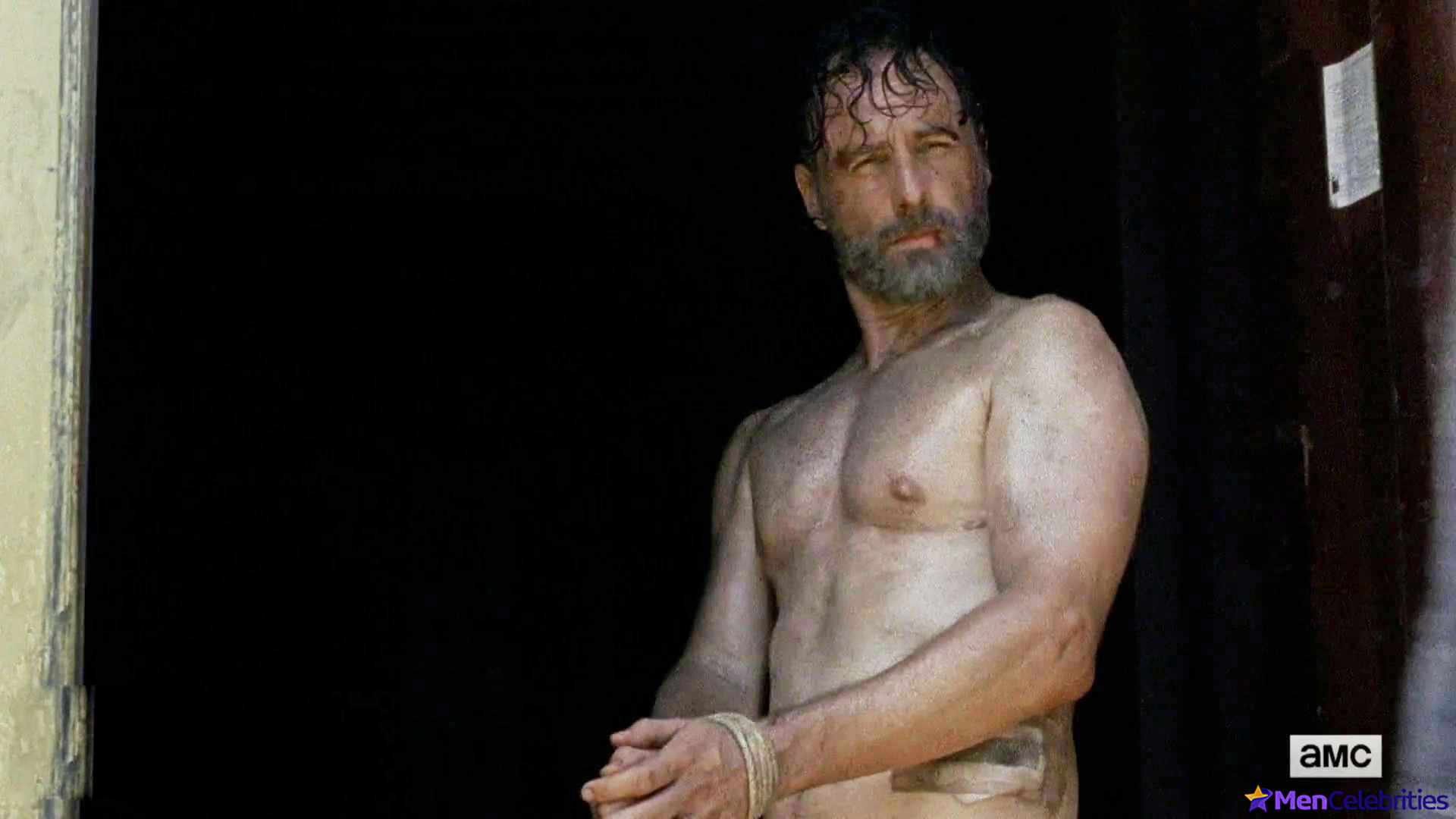 Andrew Lincoln nude photo collection