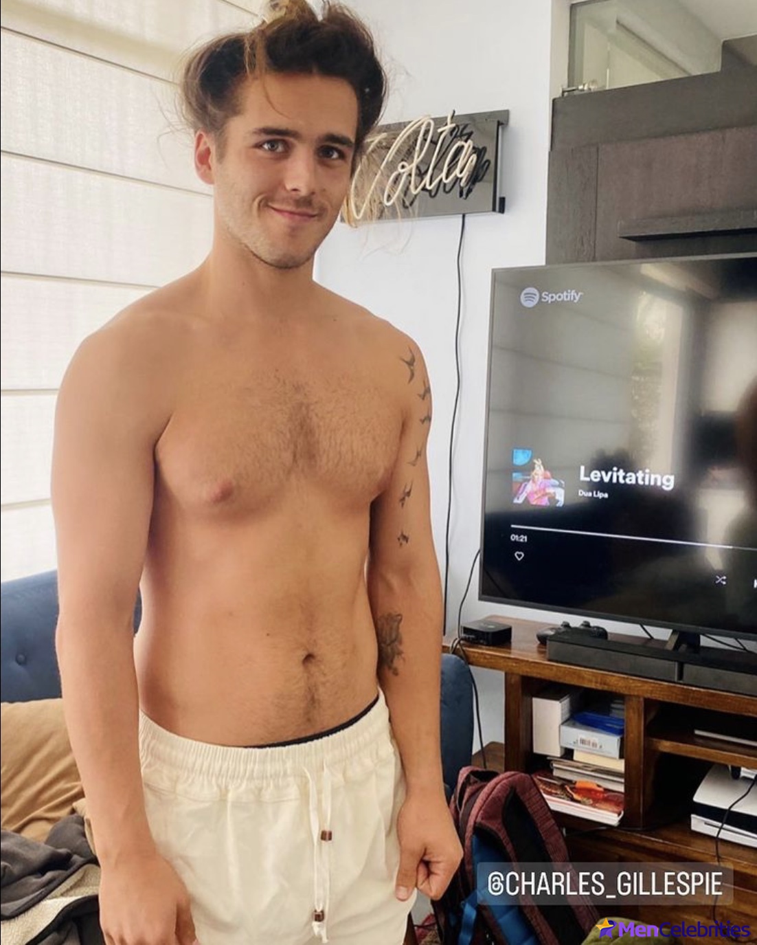 Charlie Gillespie nude collection