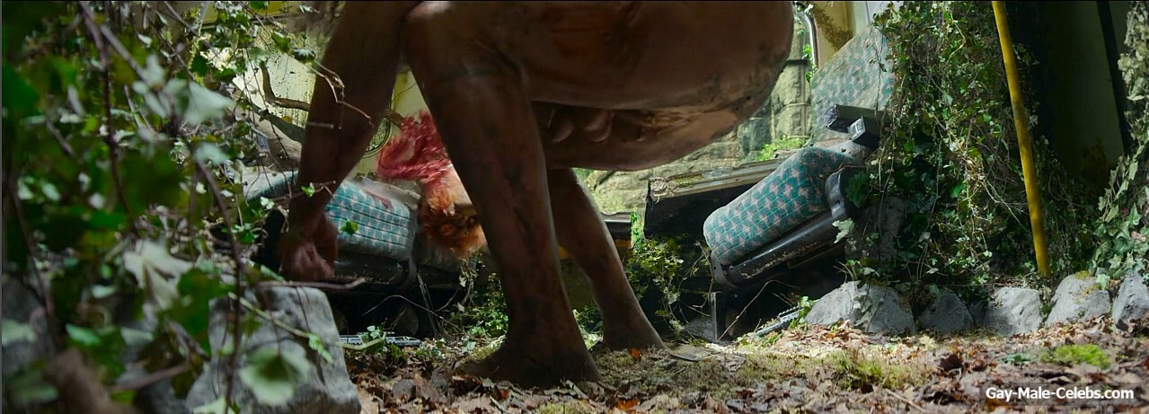 Chi Lewis-Parry balls