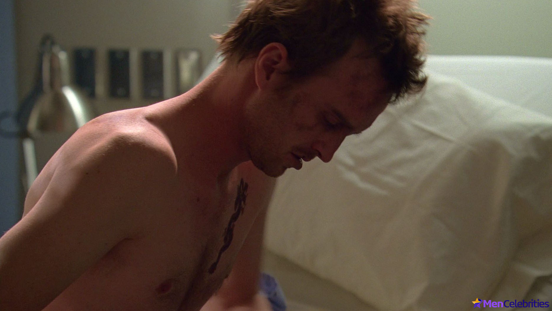 Aaron Paul nude scenes