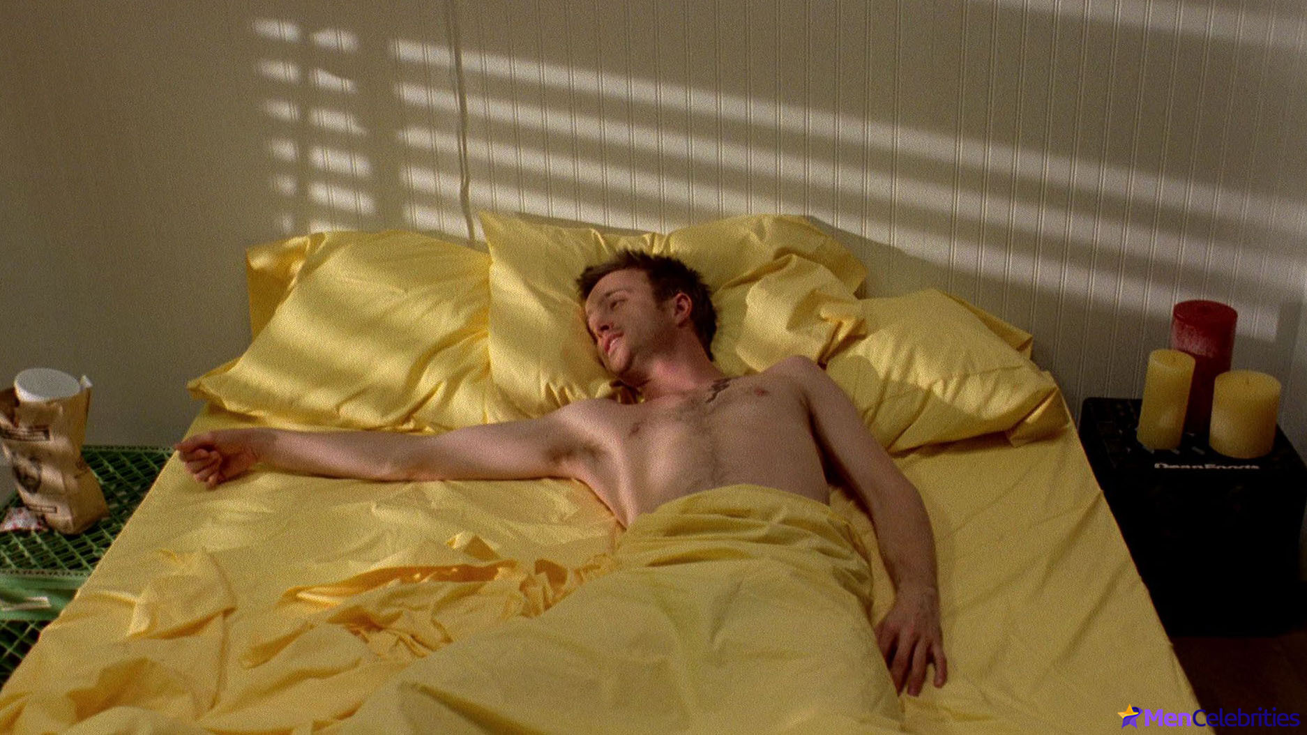 Aaron Paul nude scenes