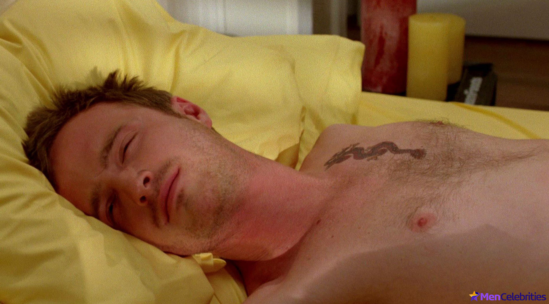 Aaron Paul nude scenes