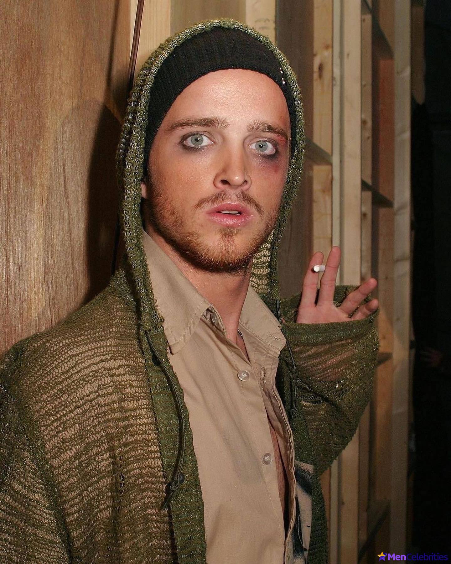 Aaron Paul shirtless pics