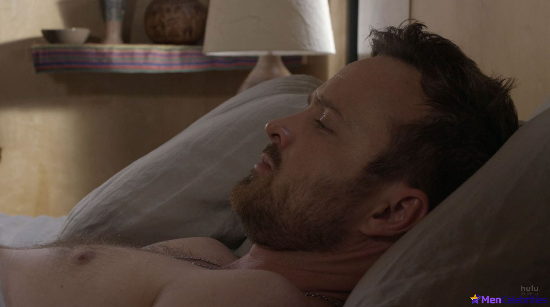 Aaron Paul nude scenes