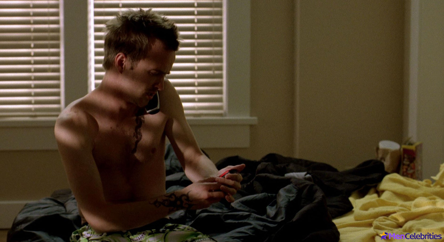 Aaron Paul nude scenes