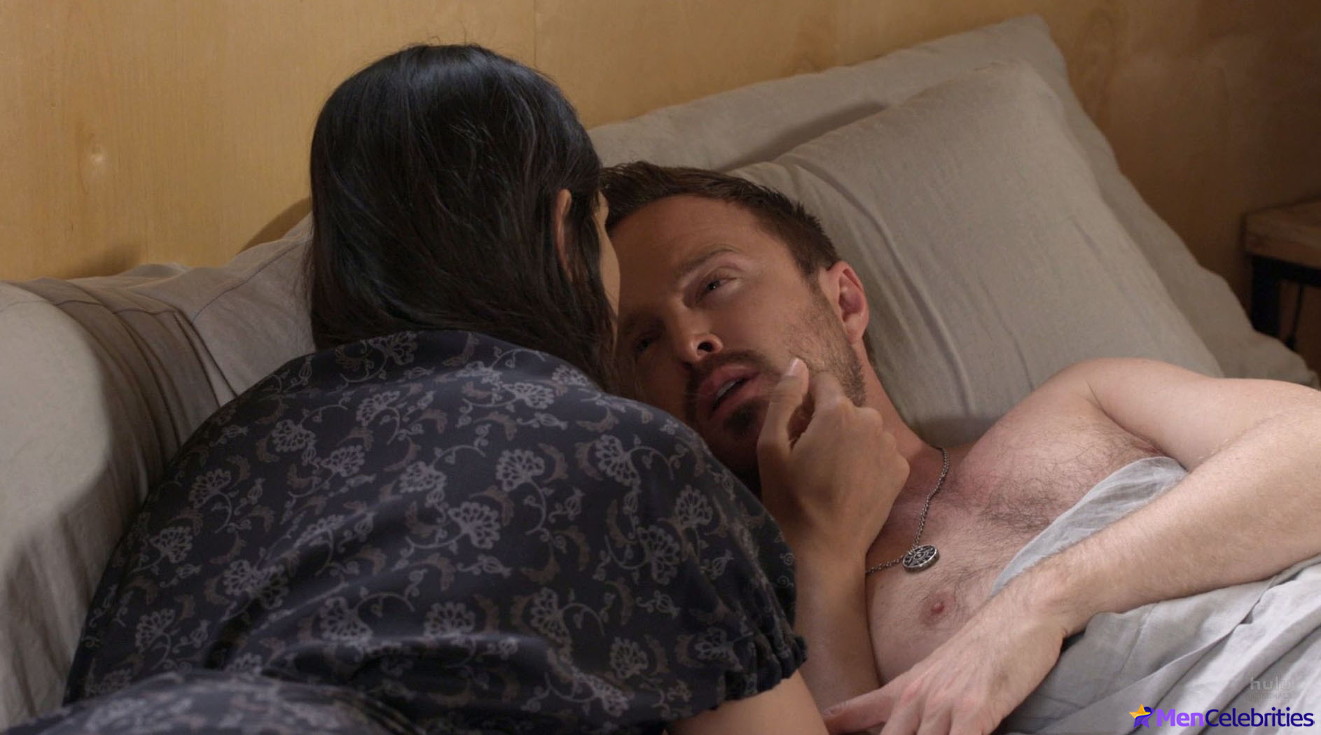 Aaron Paul nude scenes