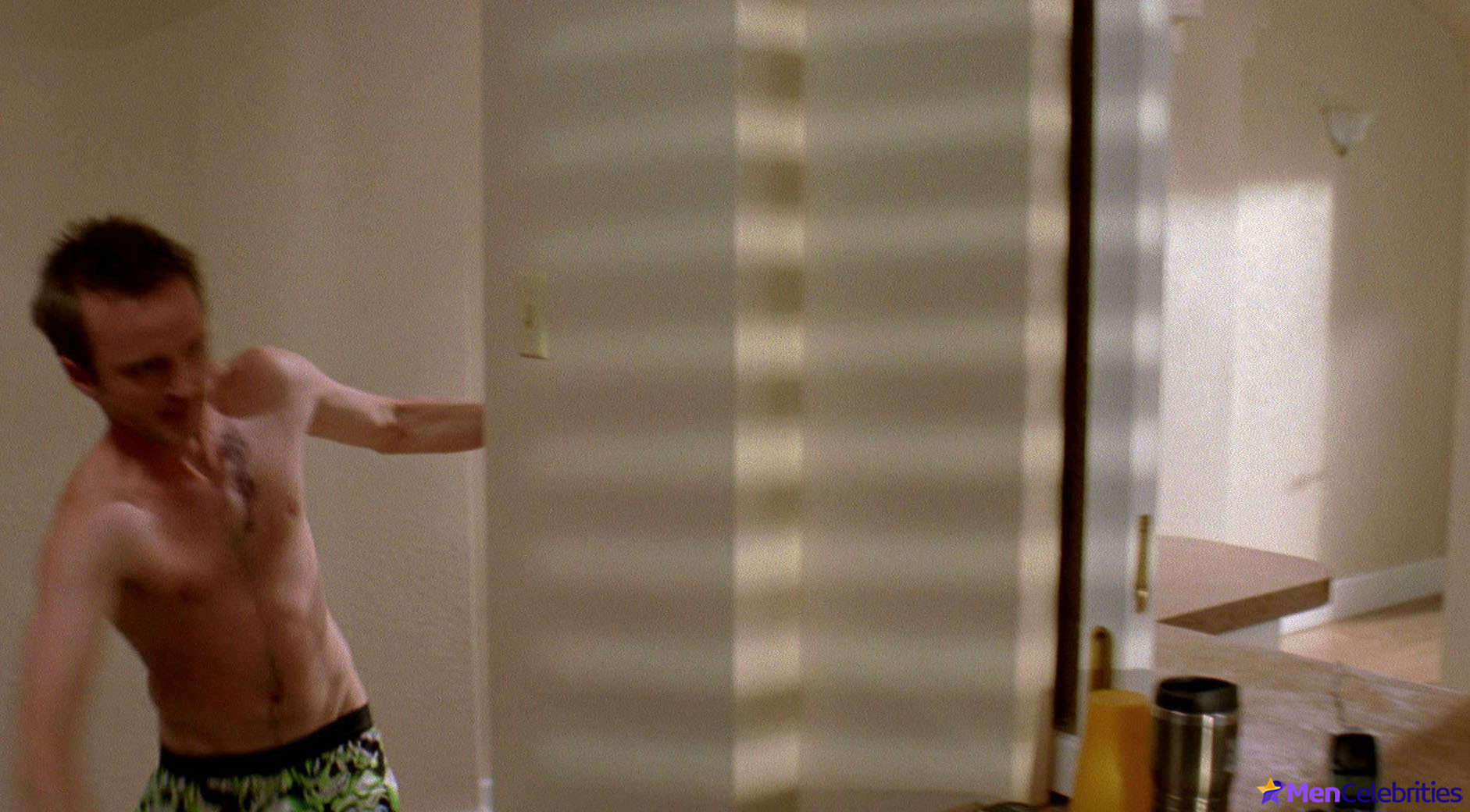 Aaron Paul nude scenes