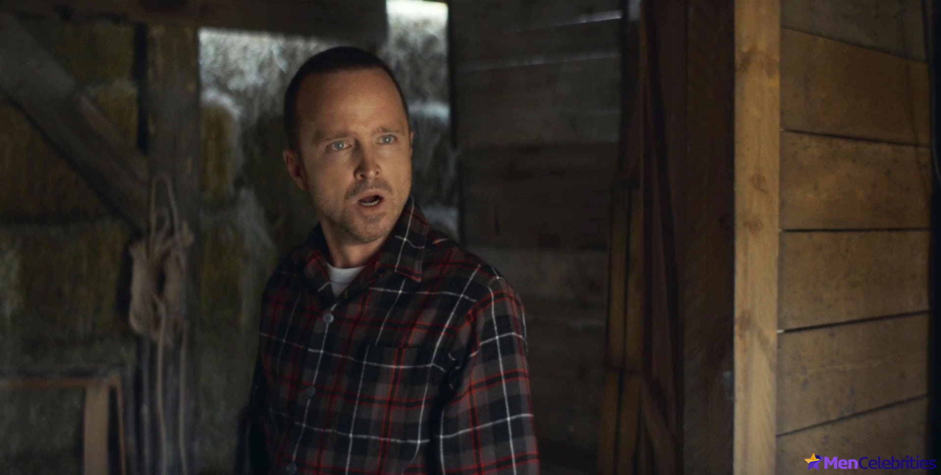 Aaron Paul nude scenes