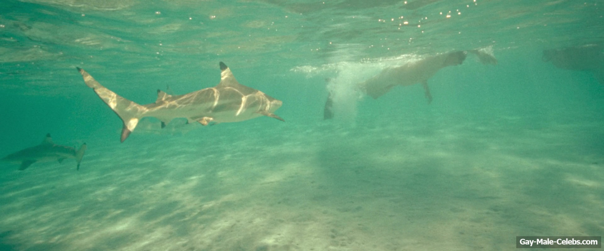 Billy Zane nude in Waltzing With Brando