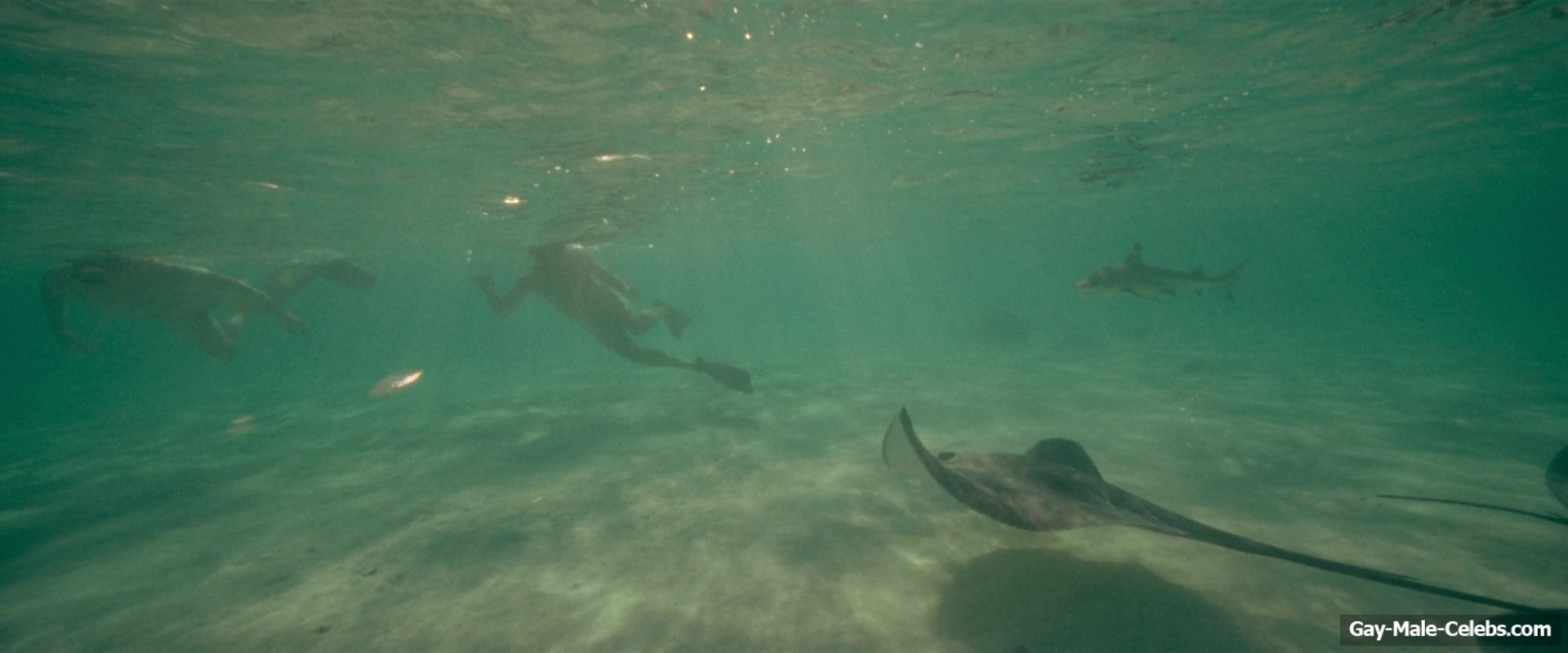 Billy Zane nude in Waltzing With Brando