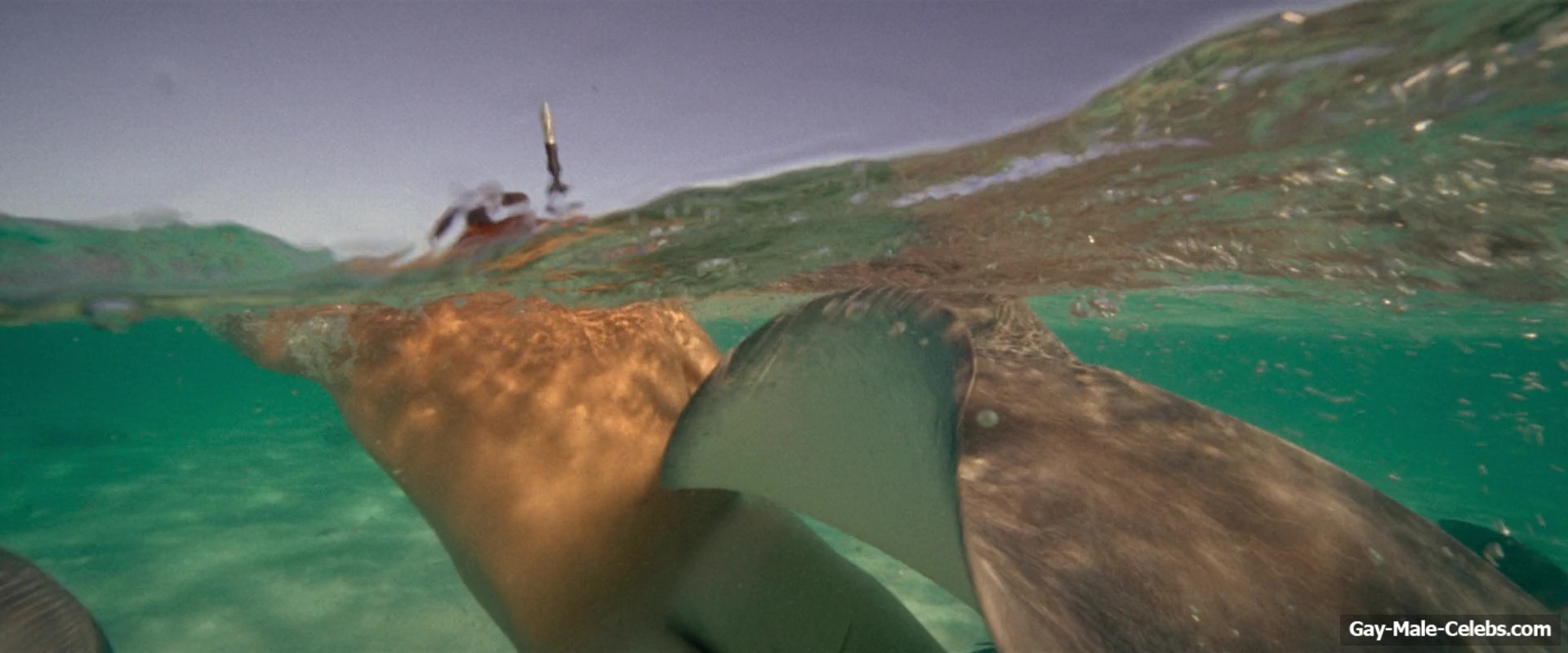 Billy Zane nude in Waltzing With Brando