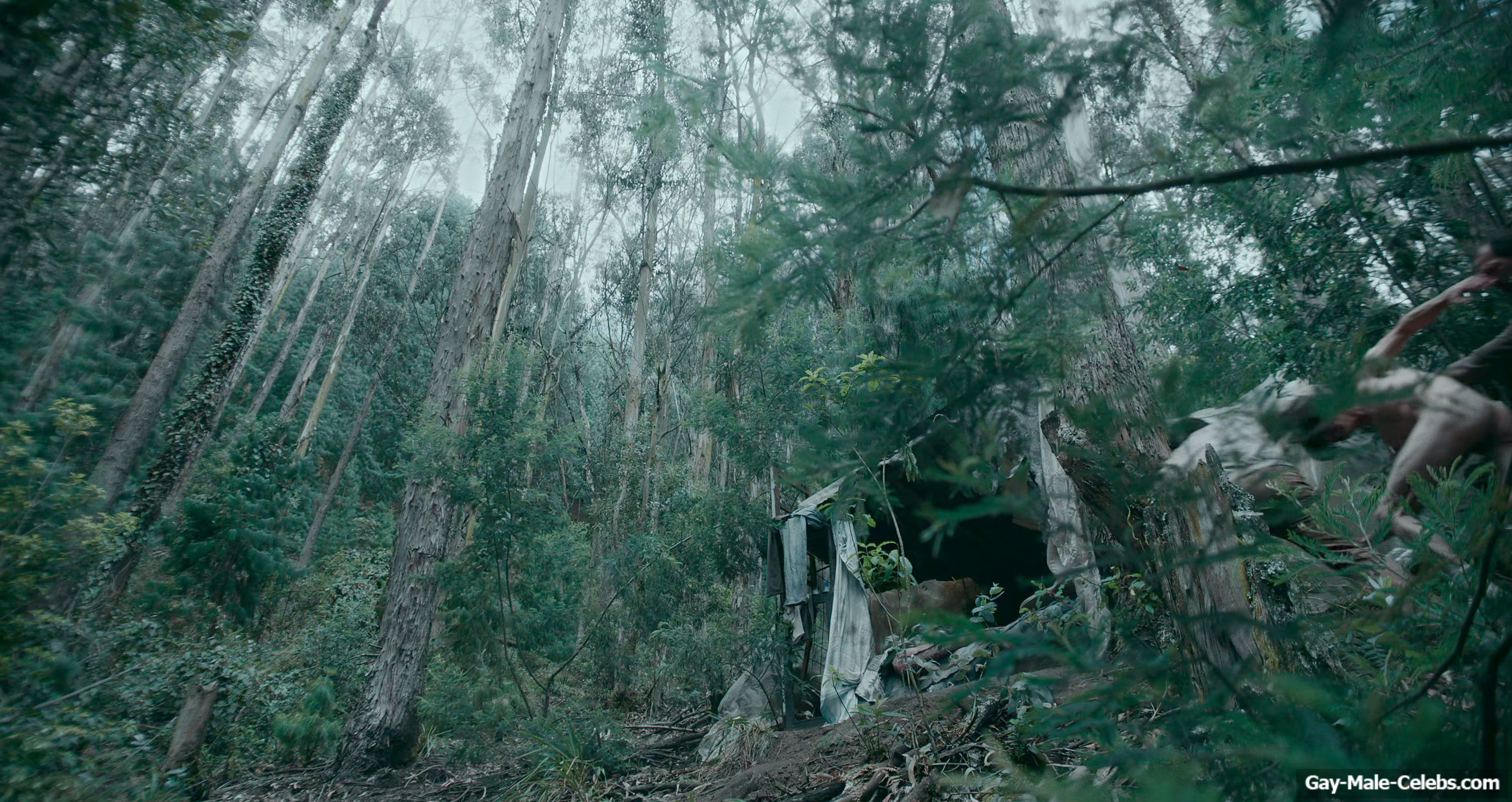 Jose Restrepo nude in Fugue State 1986