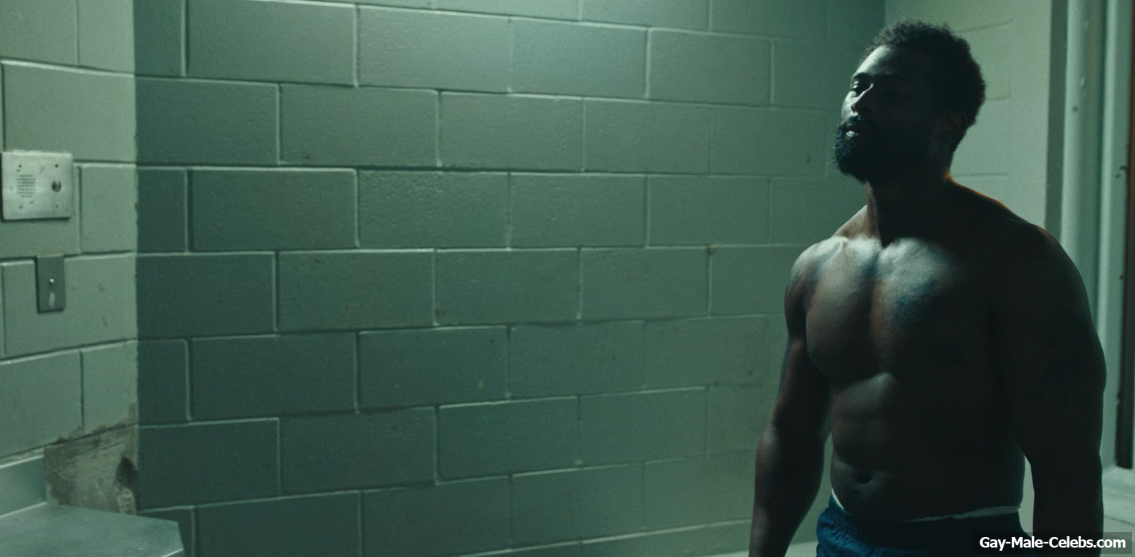 Pharez Lass nude in Mayor of Kingstown