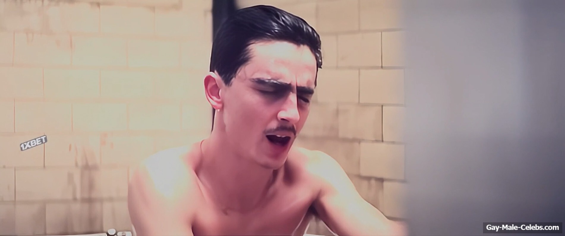 Timothee Chalamet sexy