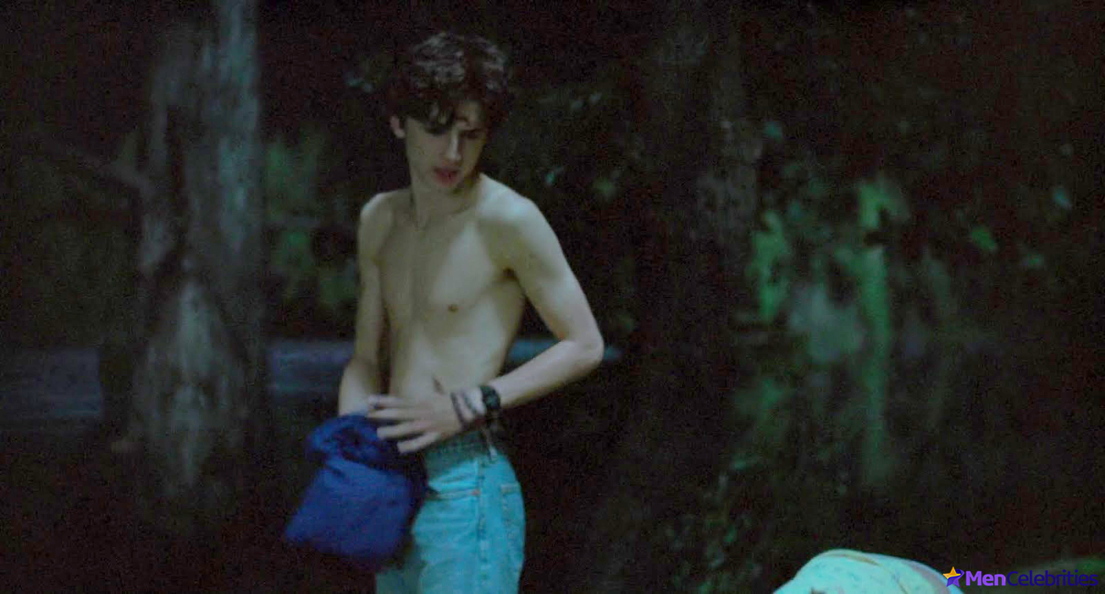Timothee Chalamet nudity scenes