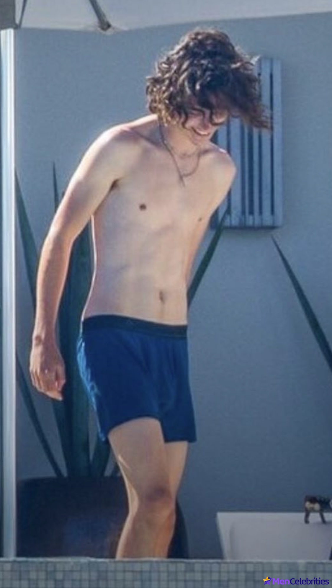 Timothee Chalamet shirtless