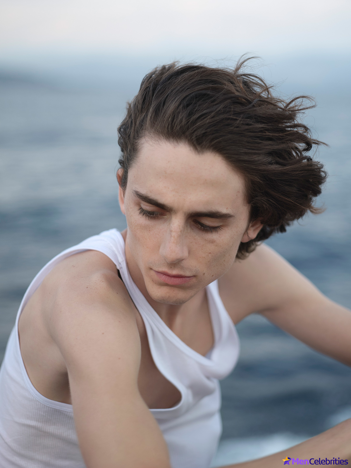 Timothee Chalamet nude photos
