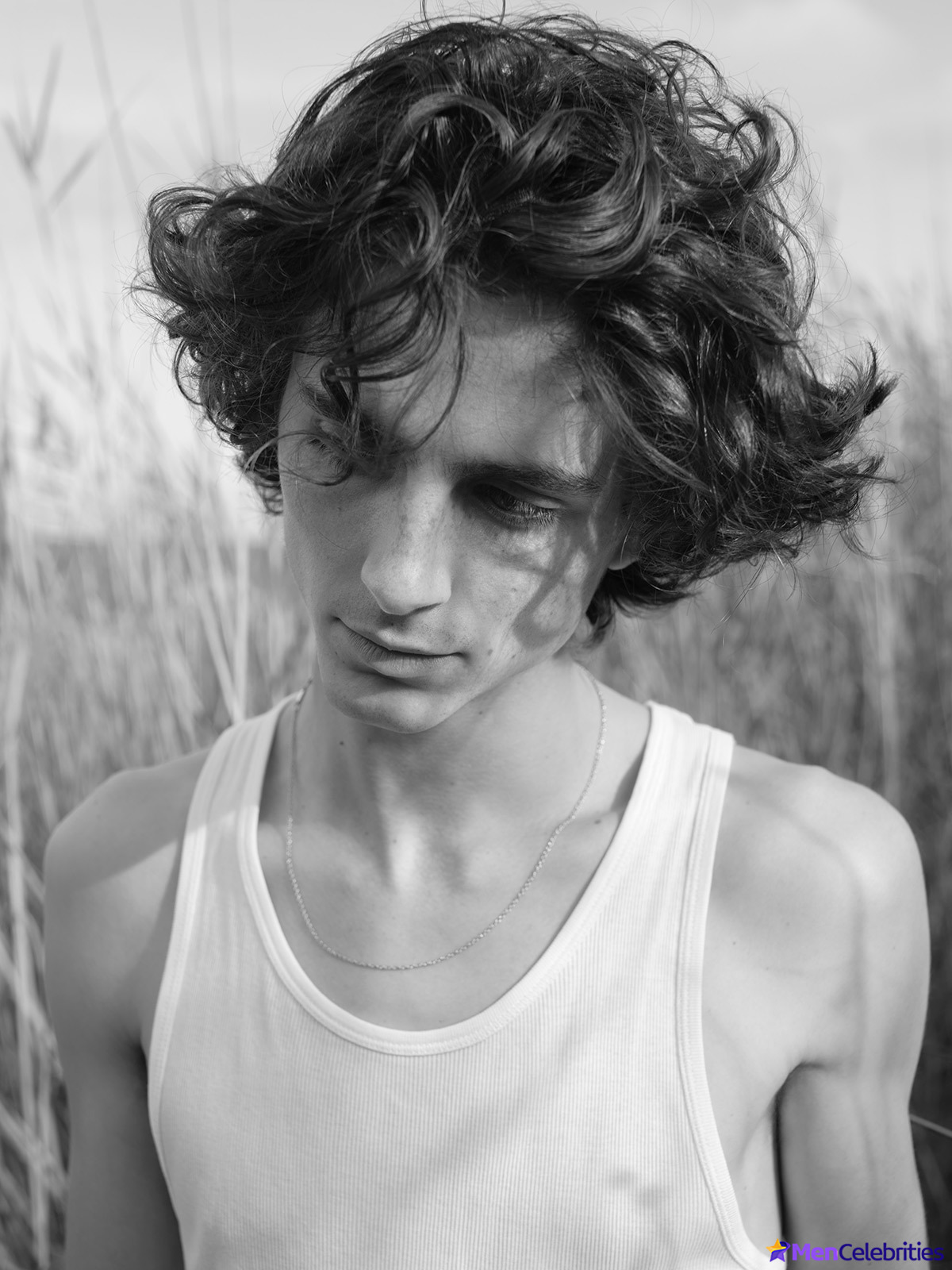 Timothee Chalamet nude gay celebs