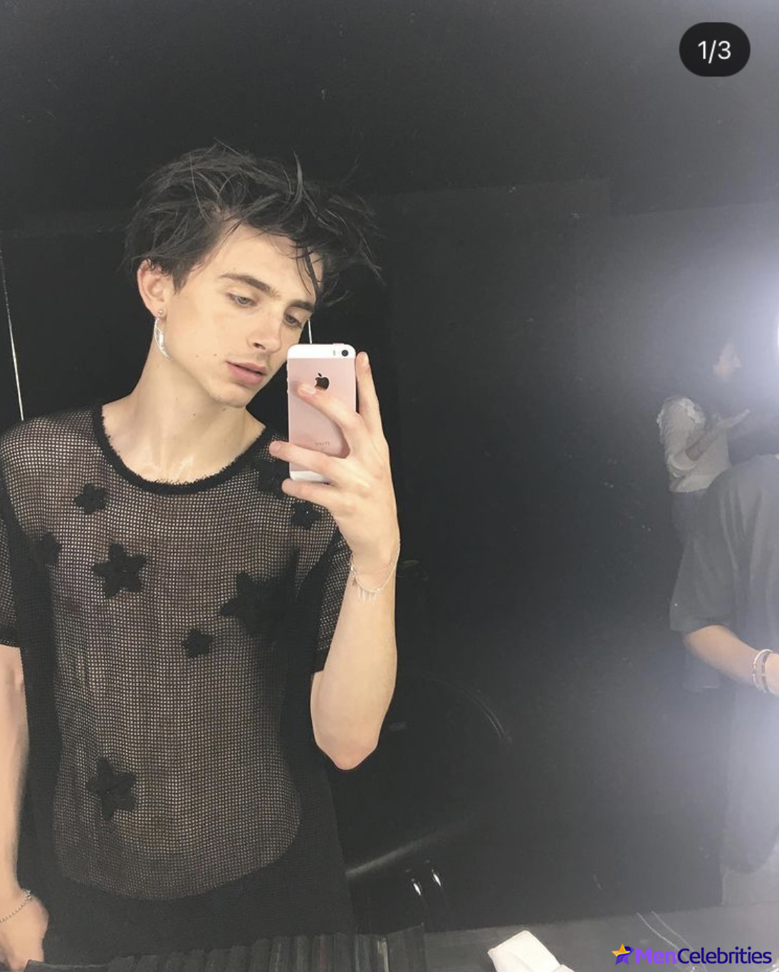 Timothee Chalamet nude selfie