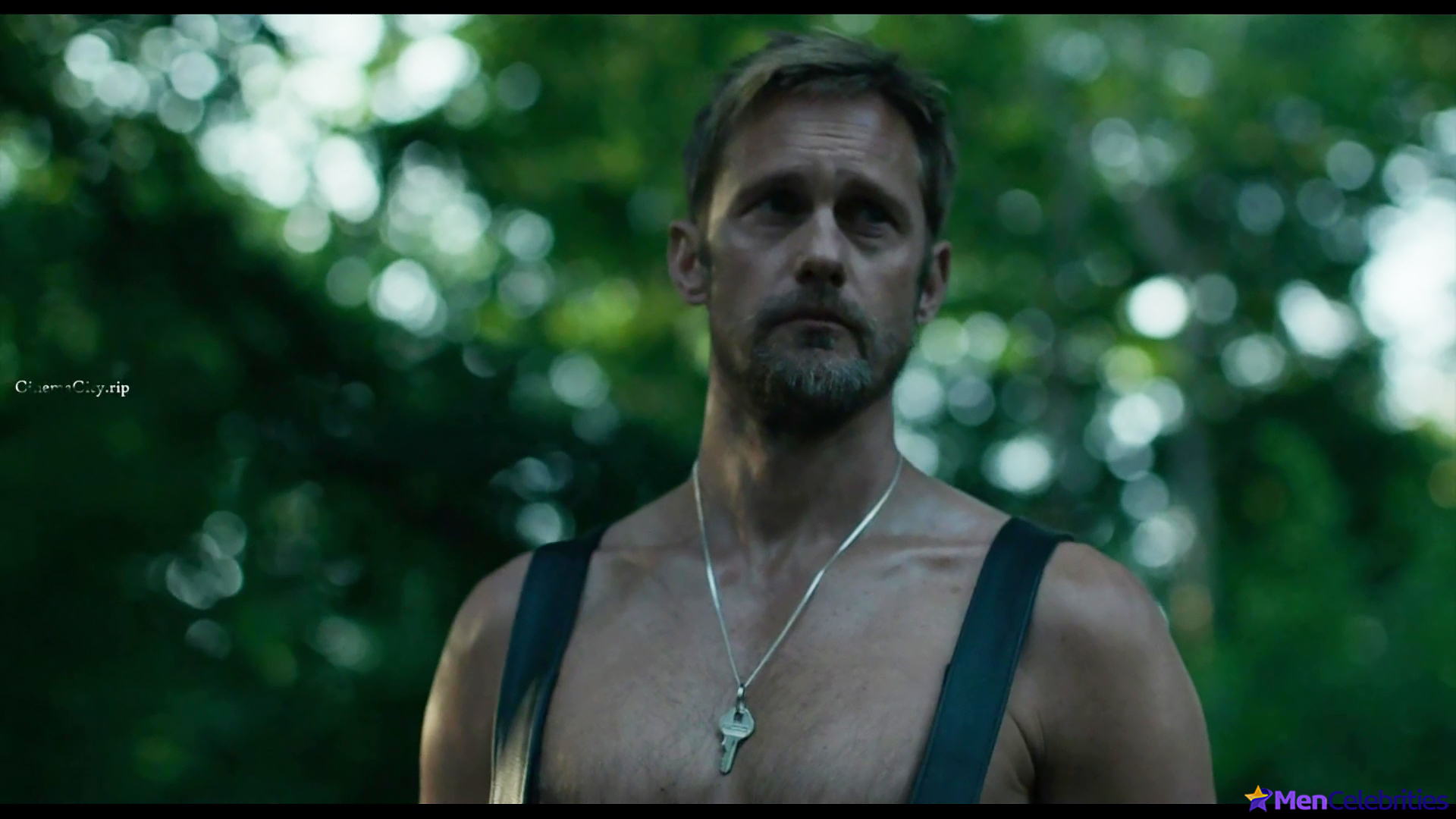 Alexander Skarsgard nude gay sex in Pillion