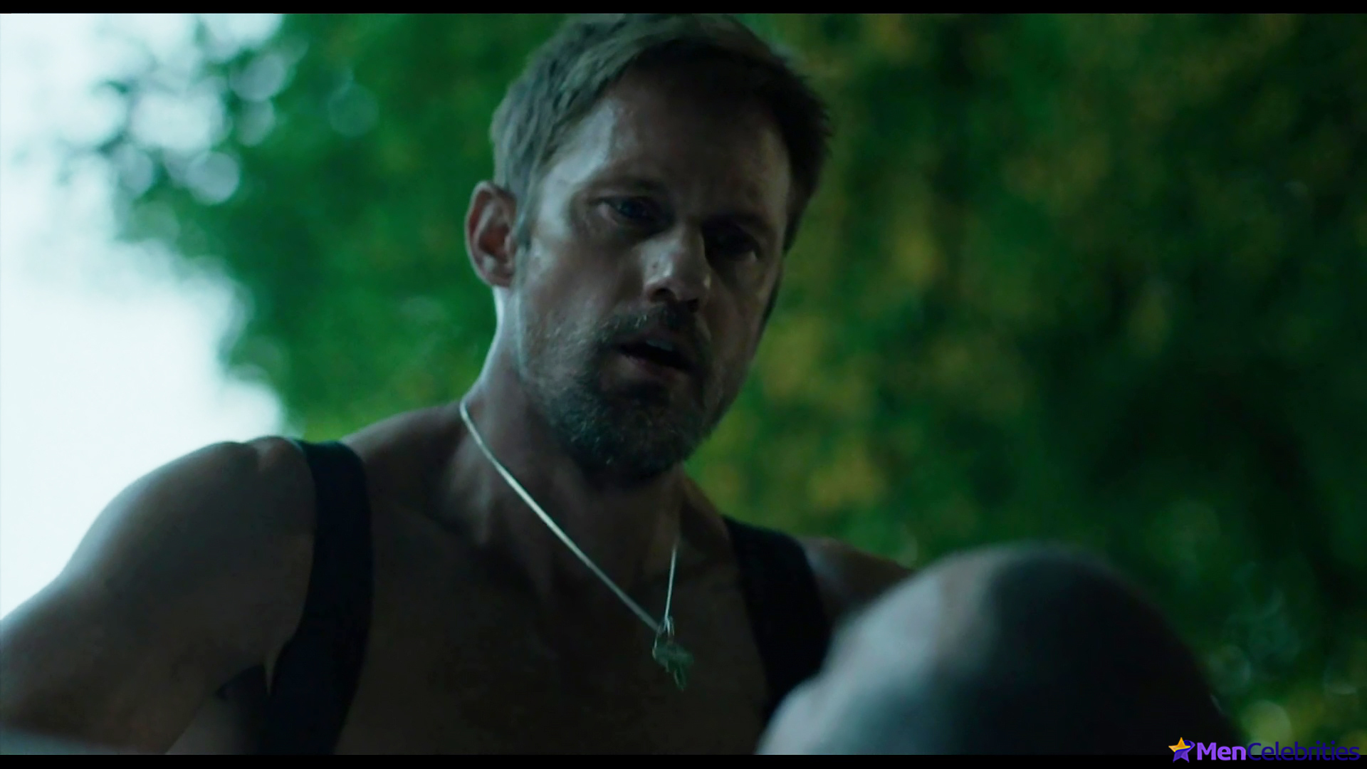 Alexander Skarsgard nude gay sex in Pillion