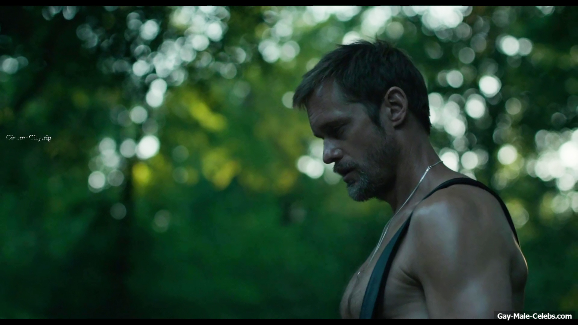 Alexander Skarsgrd and Harry Melling Nude And Rough Gay Sex in Pillion