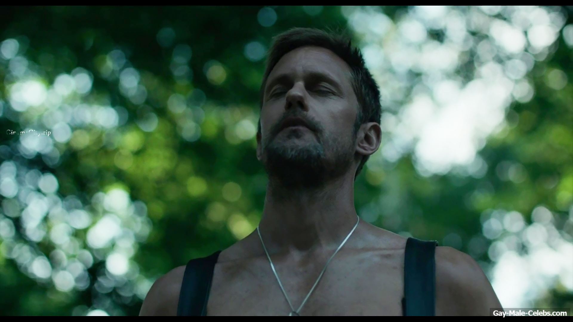 Alexander Skarsgrd and Harry Melling Nude And Rough Gay Sex in Pillion