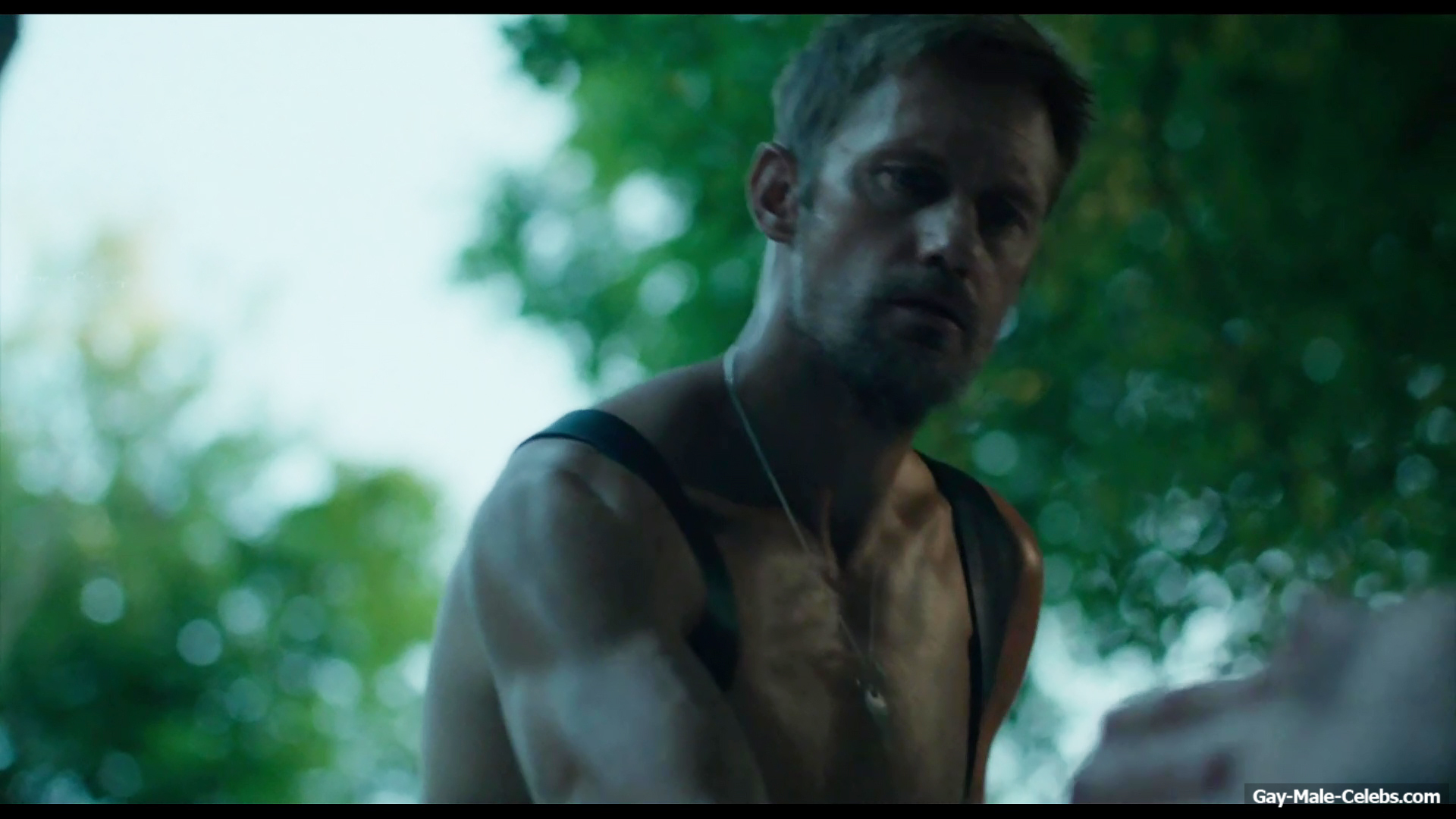 Alexander Skarsgrd and Harry Melling Nude And Rough Gay Sex in Pillion