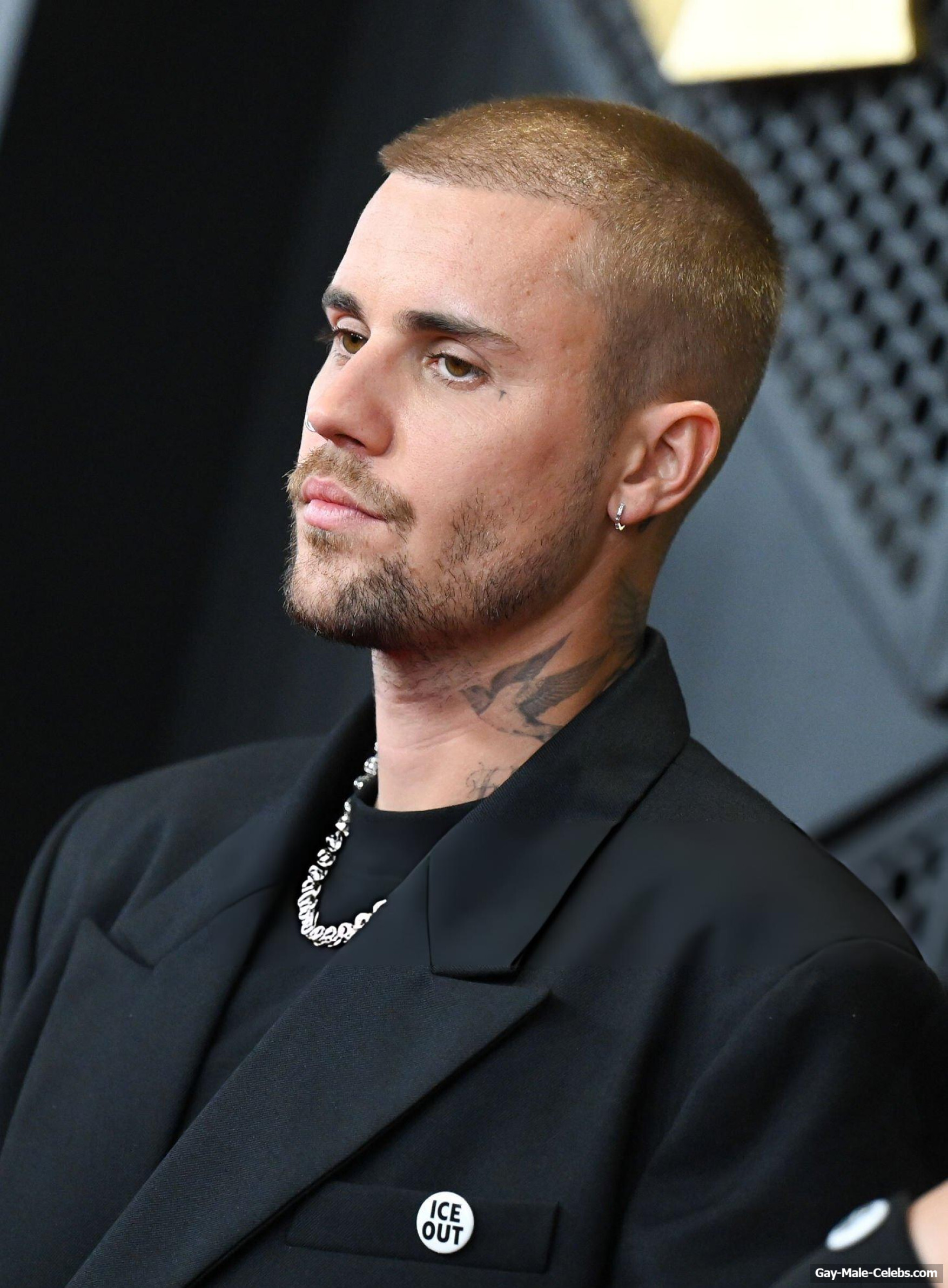 Justin Bieber Shirtless And Boxers During Grammy