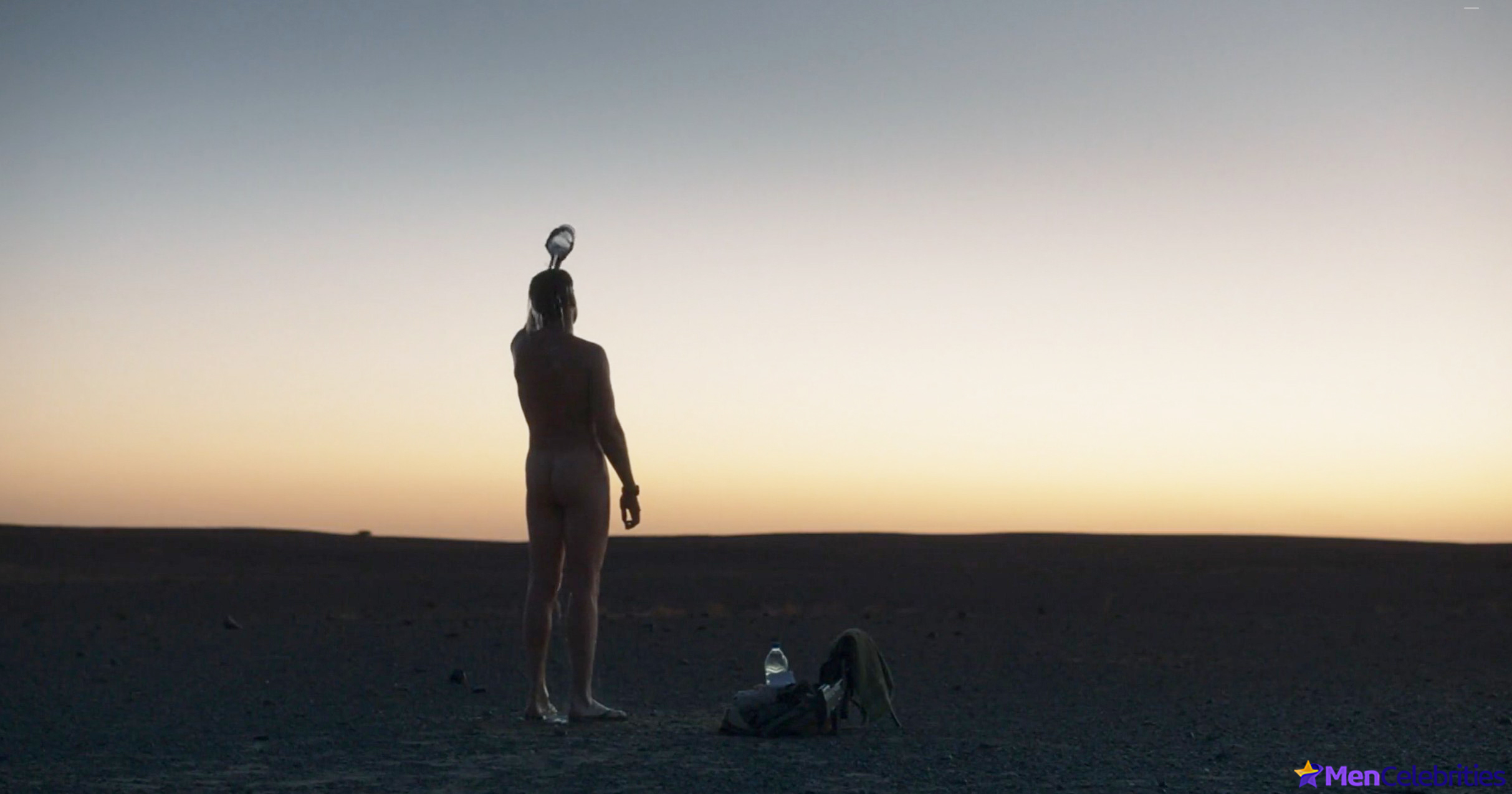 Louis Garrel frontal nude and sex scenes