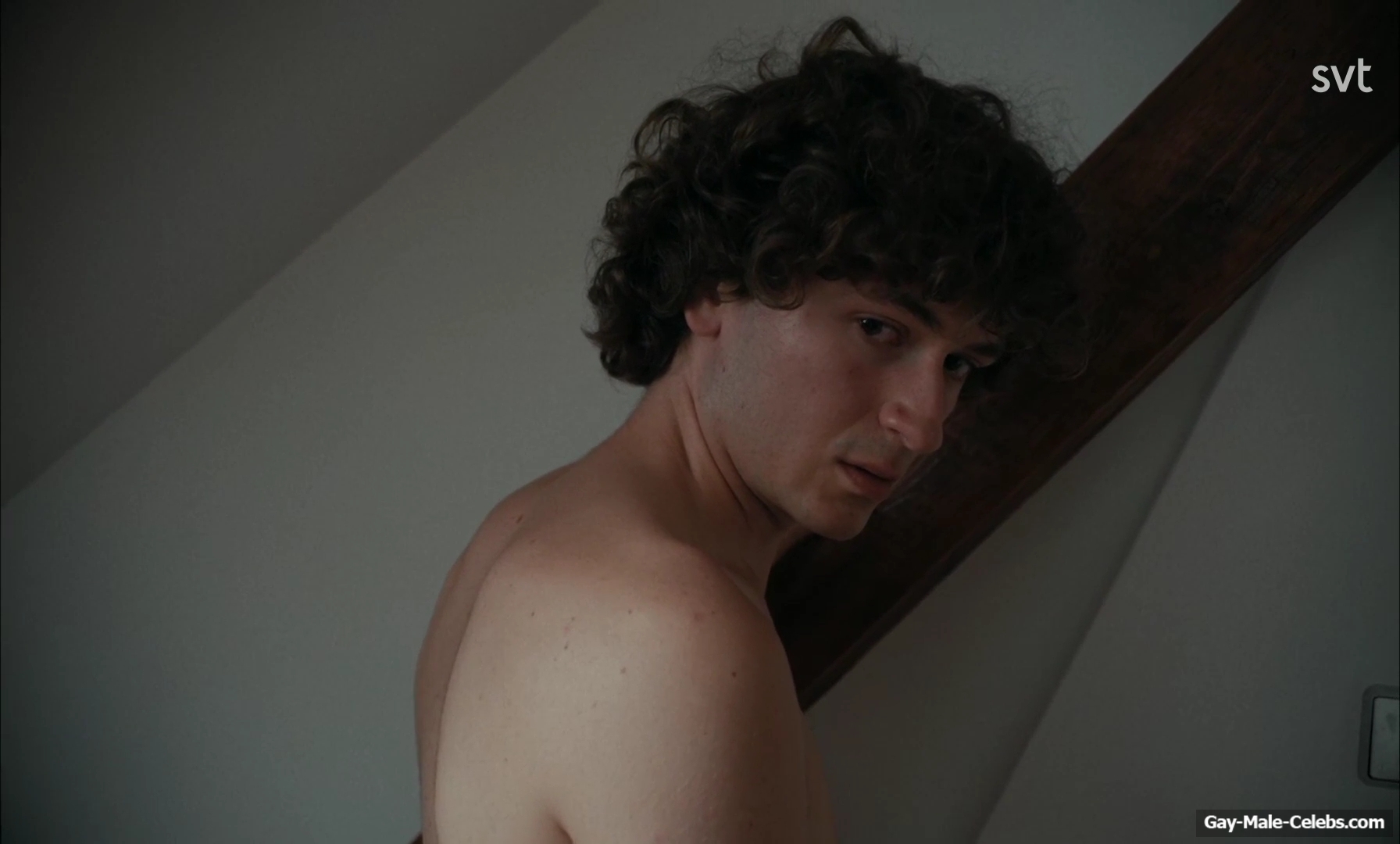 Odin Romanus nude scenes in Leva Lite