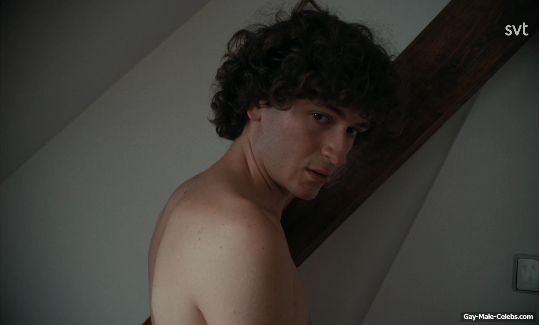 Odin Romanus nude scenes in Leva Lite