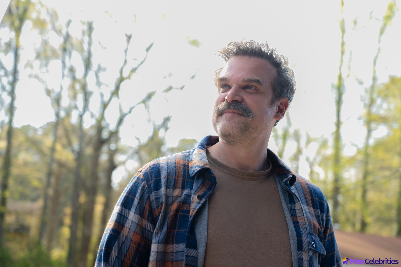 David Harbour shirtless and bulge pics