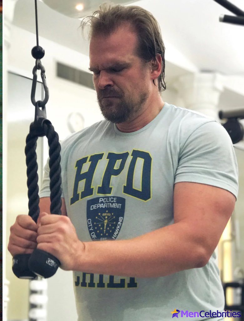 David Harbour shirtless and bulge pics