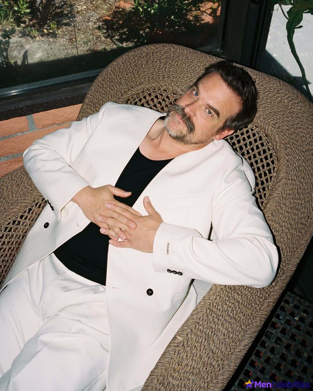 David Harbour shirtless and bulge pics