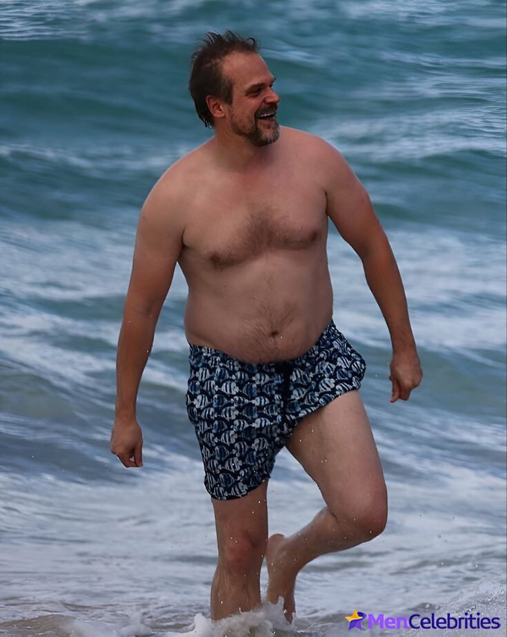 David Harbour shirtless and bulge pics