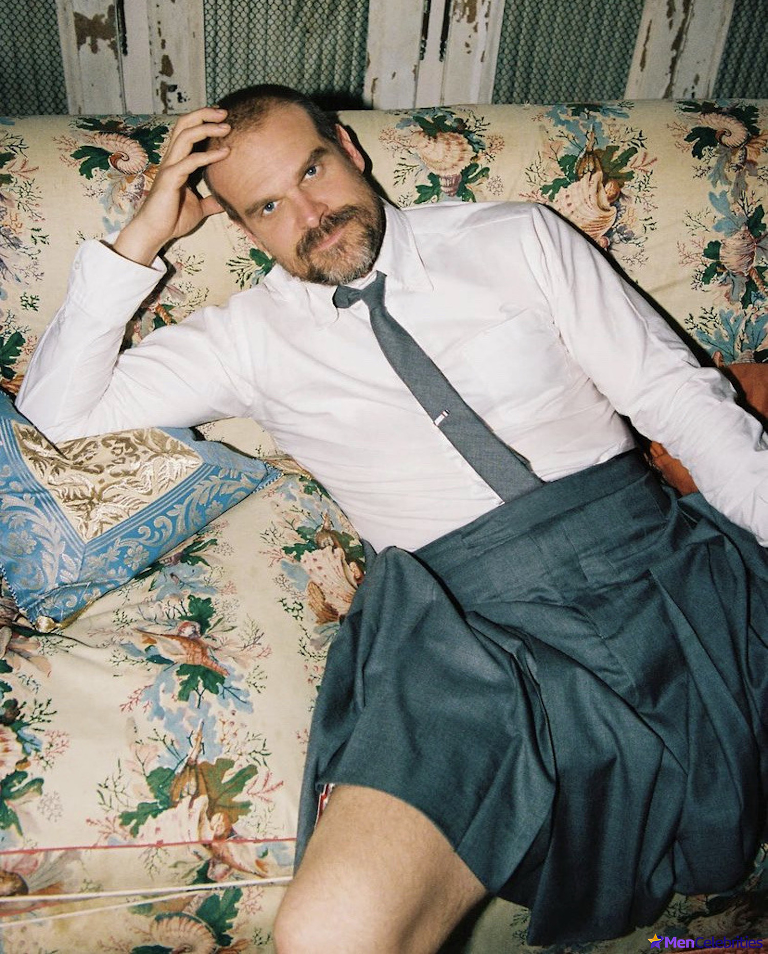 David Harbour shirtless and bulge pics