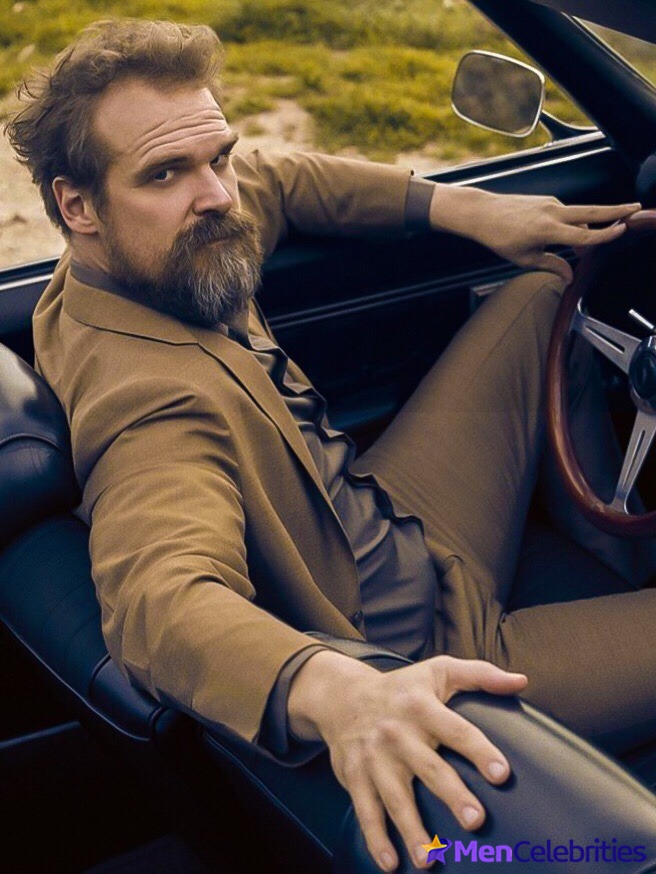 David Harbour shirtless and bulge pics